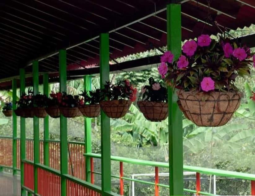 Ecohotel Colibri Salento Luna Park Esterno foto